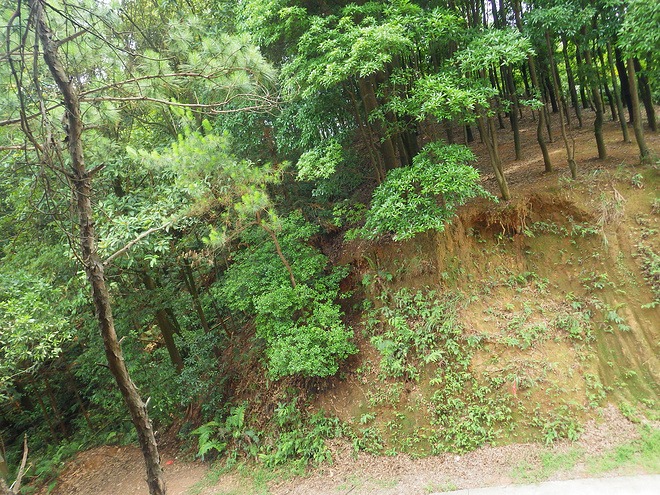 高山低谷 我的脚就是我的路——初探龙洞挑战赛路线