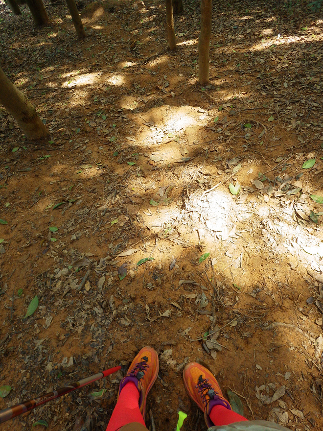 高山低谷 我的脚就是我的路——初探龙洞挑战赛路线