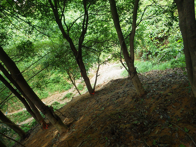 高山低谷 我的脚就是我的路——初探龙洞挑战赛路线