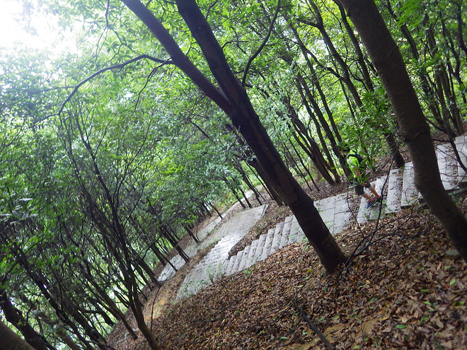 高山低谷 我的脚就是我的路——初探龙洞挑战赛路线