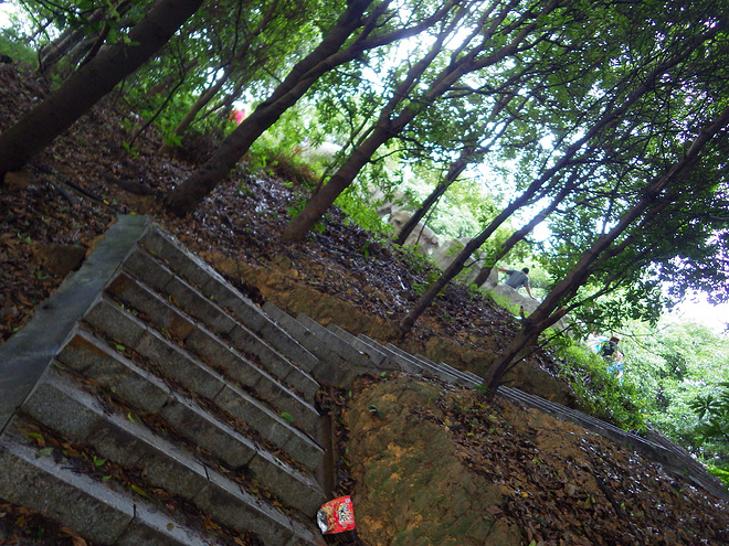 高山低谷 我的脚就是我的路——初探龙洞挑战赛路线