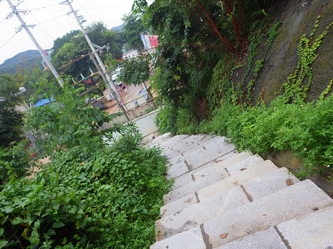 高山低谷 我的脚就是我的路——初探龙洞挑战赛路线