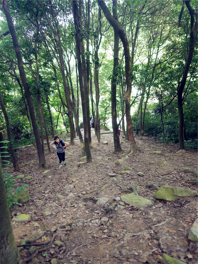 转益多师是汝师——记火窝火越野行