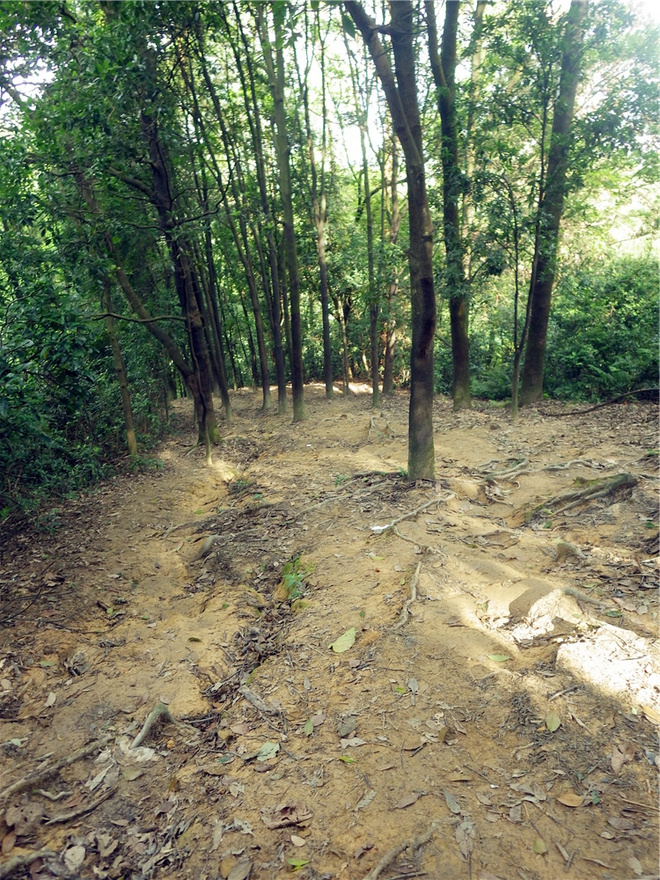 转益多师是汝师——记火窝火越野行