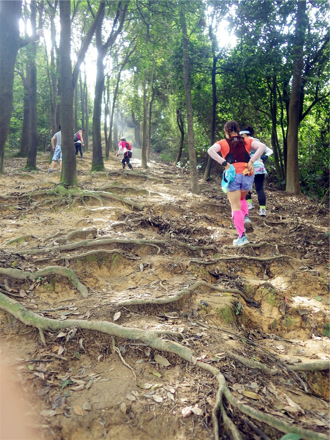 转益多师是汝师——记火窝火越野行