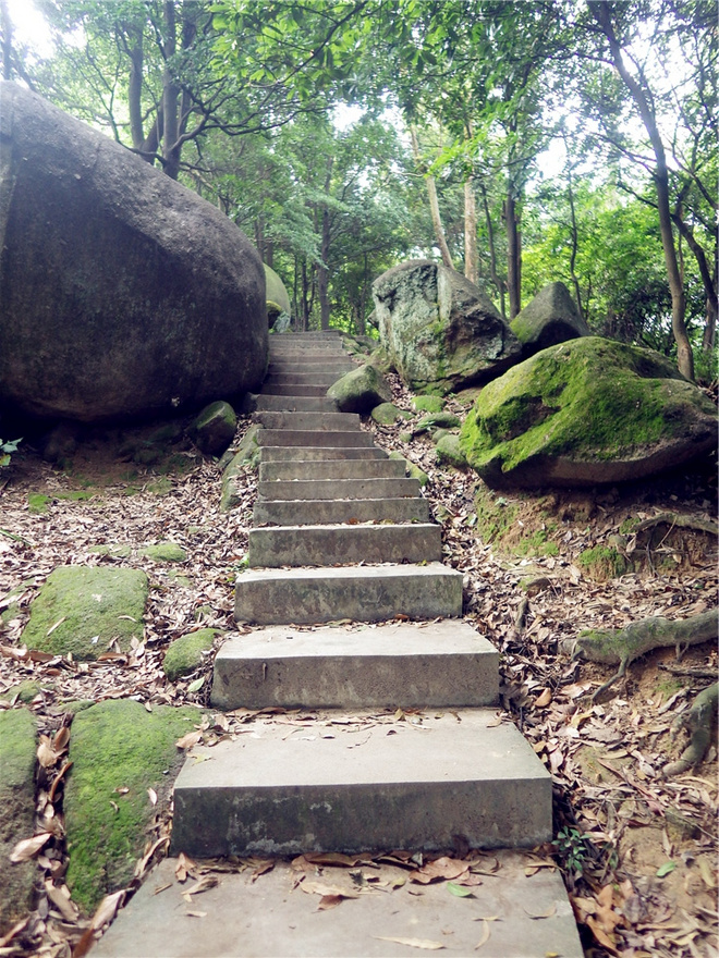 转益多师是汝师——记火窝火越野行