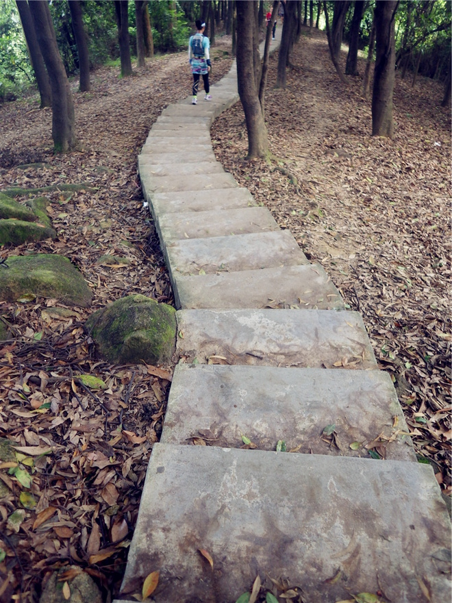 转益多师是汝师——记火窝火越野行