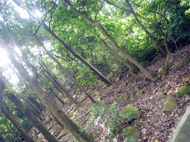 转益多师是汝师——记火窝火越野行