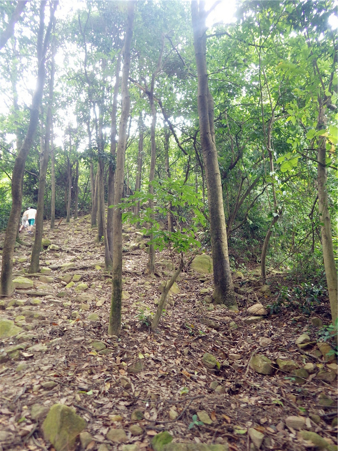 转益多师是汝师——记火窝火越野行