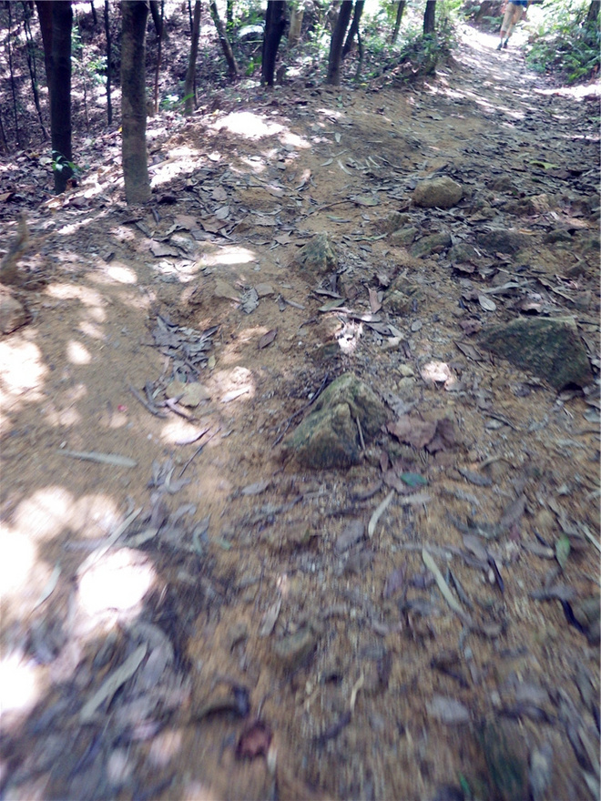 转益多师是汝师——记火窝火越野行