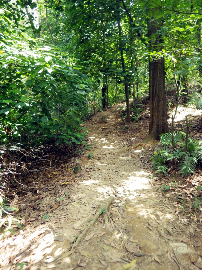 转益多师是汝师——记火窝火越野行