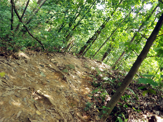 转益多师是汝师——记火窝火越野行