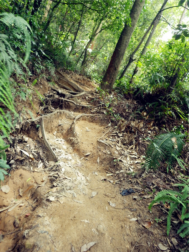 转益多师是汝师——记火窝火越野行