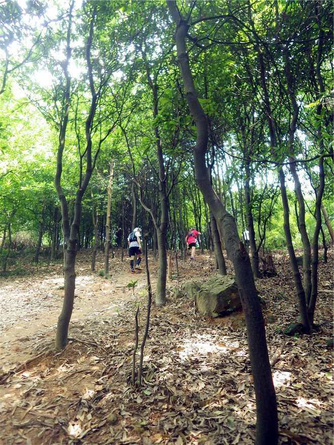 转益多师是汝师——记火窝火越野行