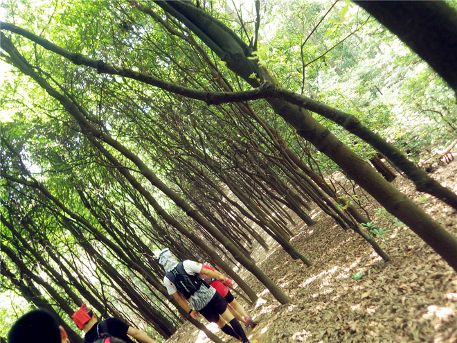 转益多师是汝师——记火窝火越野行