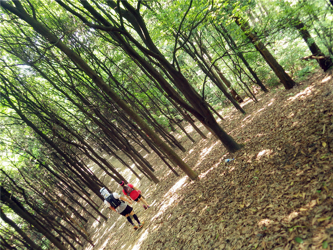 转益多师是汝师——记火窝火越野行