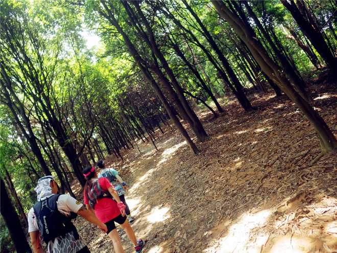 转益多师是汝师——记火窝火越野行