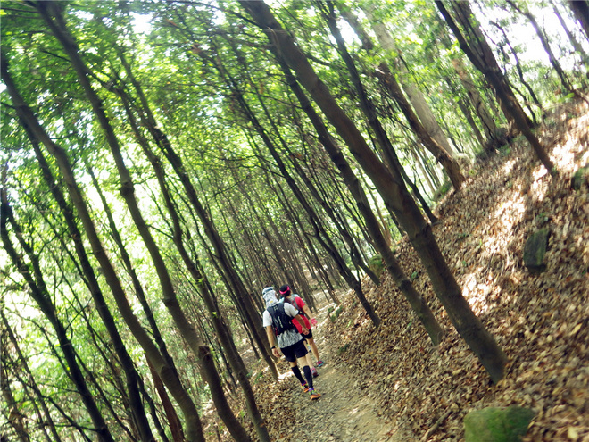 转益多师是汝师——记火窝火越野行