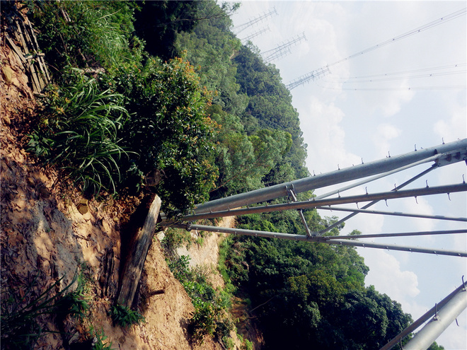 转益多师是汝师——记火窝火越野行