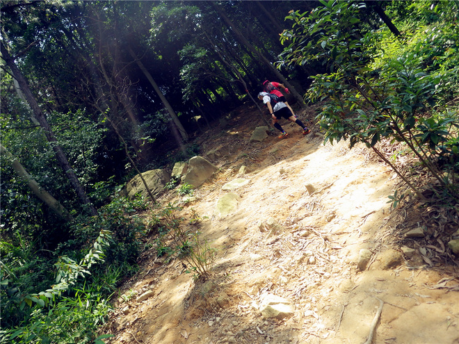 转益多师是汝师——记火窝火越野行