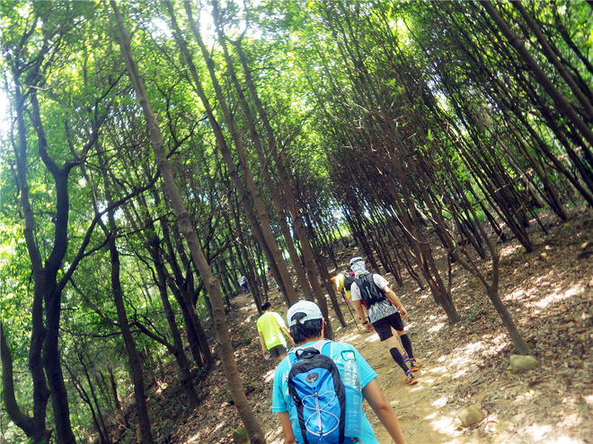 转益多师是汝师——记火窝火越野行