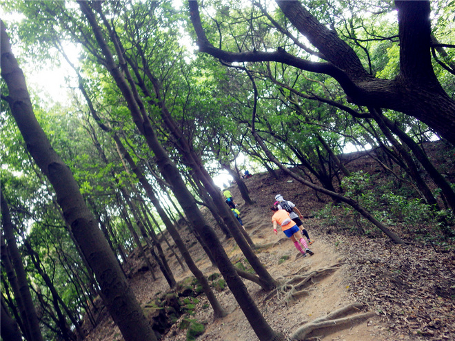 转益多师是汝师——记火窝火越野行