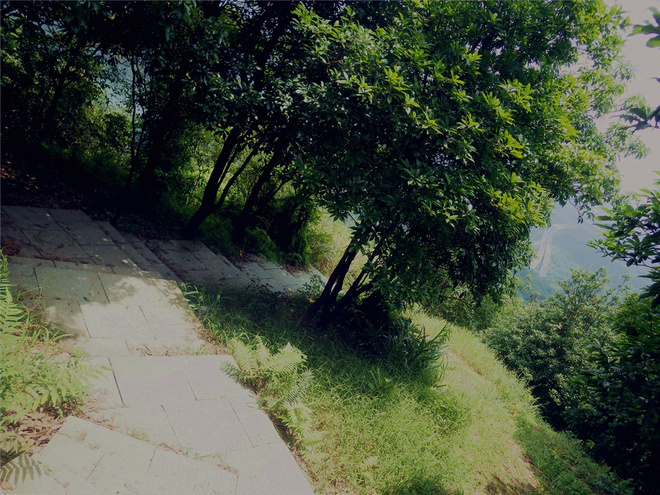 转益多师是汝师——记火窝火越野行