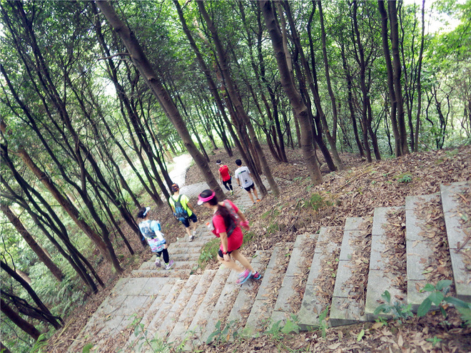 转益多师是汝师——记火窝火越野行