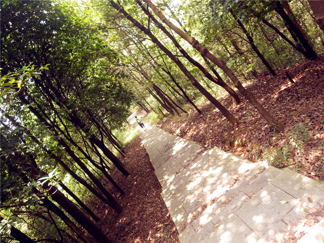 转益多师是汝师——记火窝火越野行