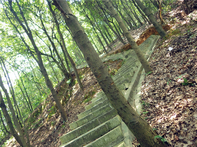 转益多师是汝师——记火窝火越野行