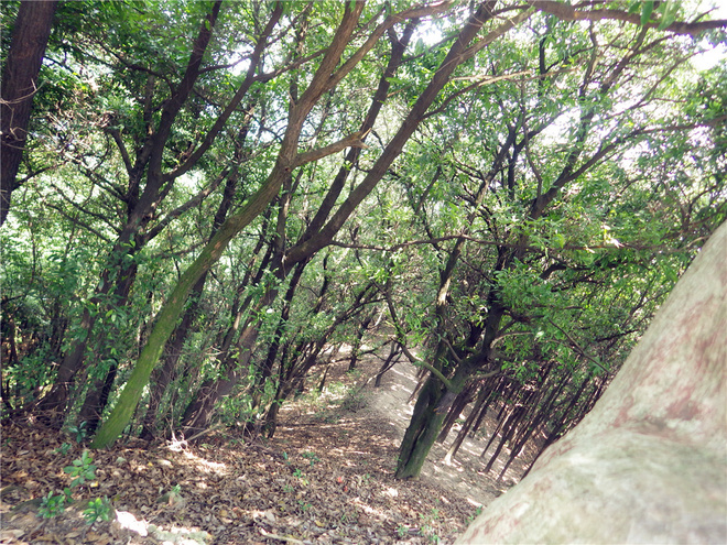 转益多师是汝师——记火窝火越野行