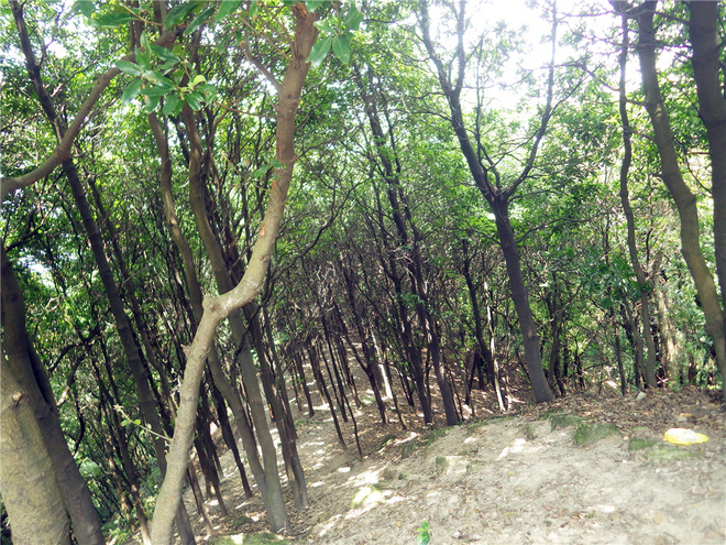 转益多师是汝师——记火窝火越野行