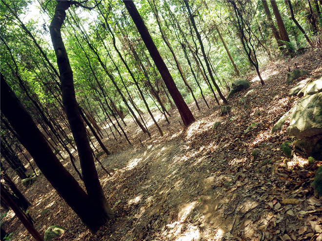 转益多师是汝师——记火窝火越野行