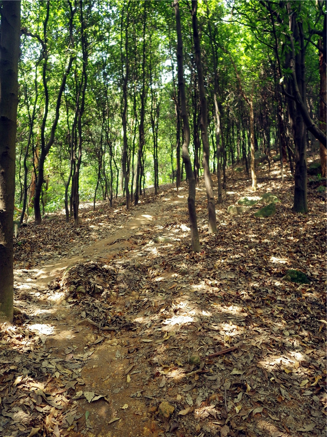 转益多师是汝师——记火窝火越野行