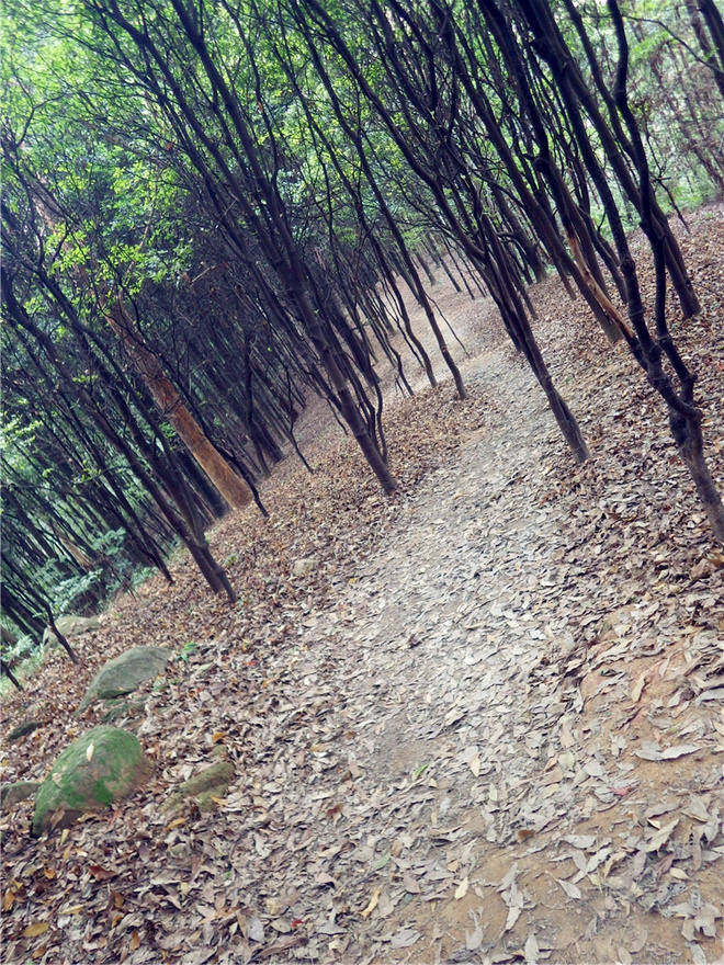 转益多师是汝师——记火窝火越野行