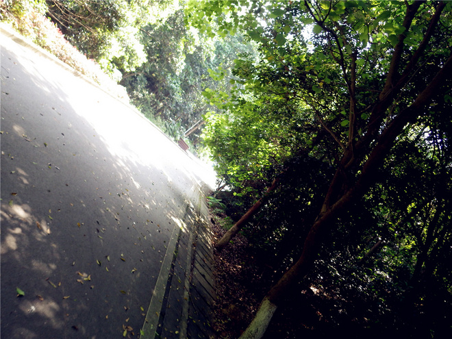 转益多师是汝师——记火窝火越野行