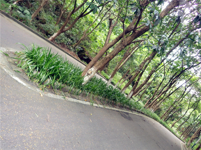 转益多师是汝师——记火窝火越野行