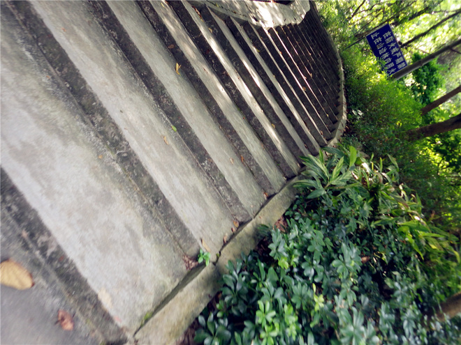 转益多师是汝师——记火窝火越野行