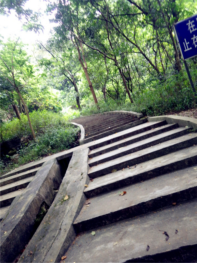 转益多师是汝师——记火窝火越野行