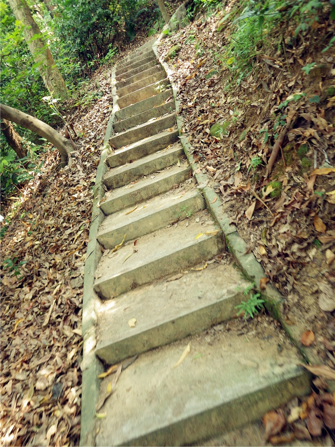 转益多师是汝师——记火窝火越野行
