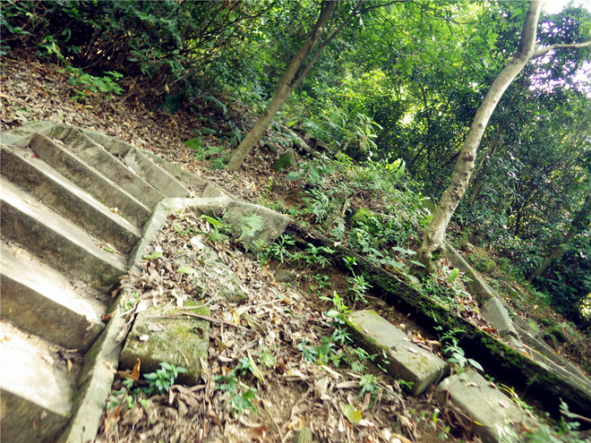 转益多师是汝师——记火窝火越野行