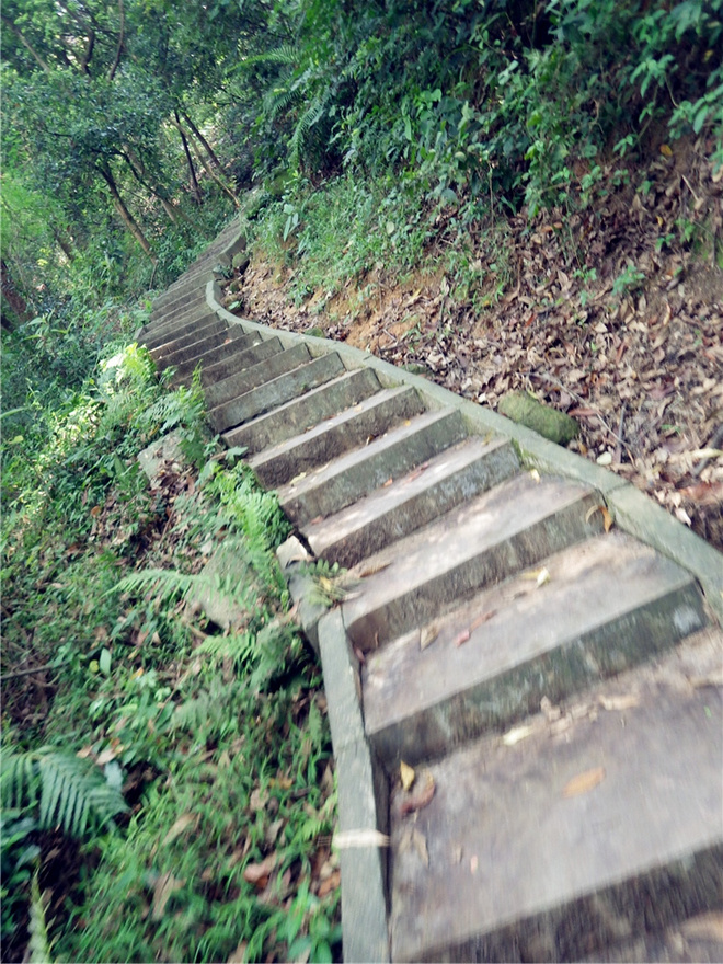 转益多师是汝师——记火窝火越野行