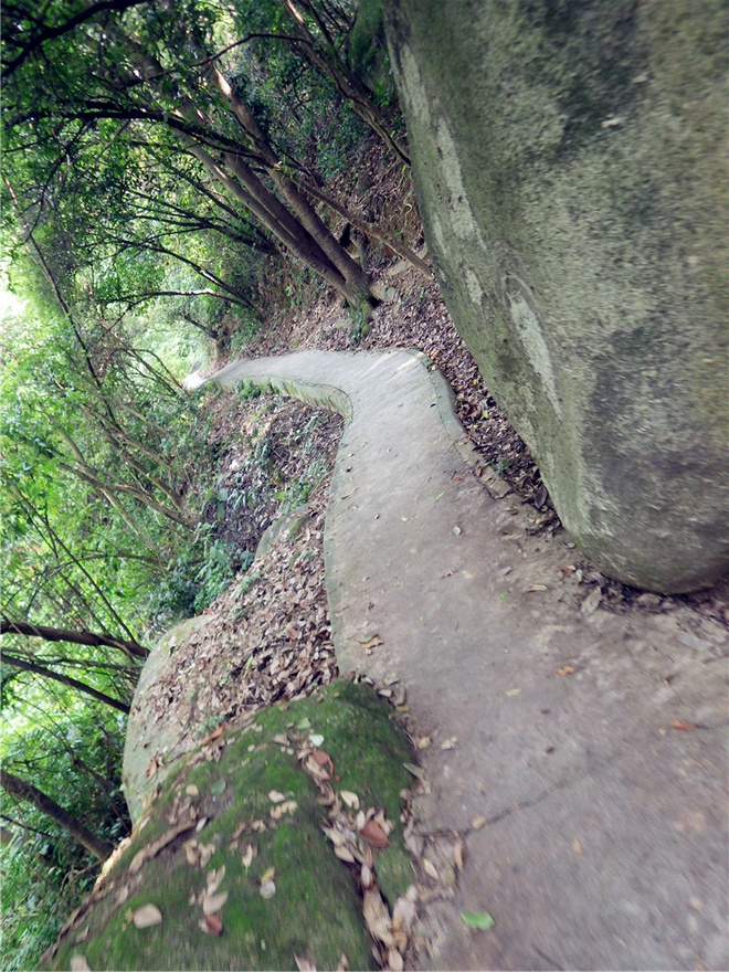 转益多师是汝师——记火窝火越野行