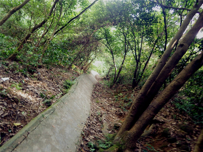 转益多师是汝师——记火窝火越野行