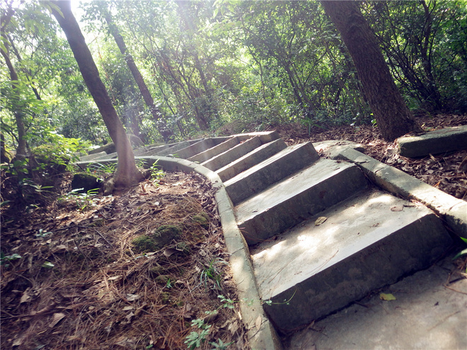 转益多师是汝师——记火窝火越野行