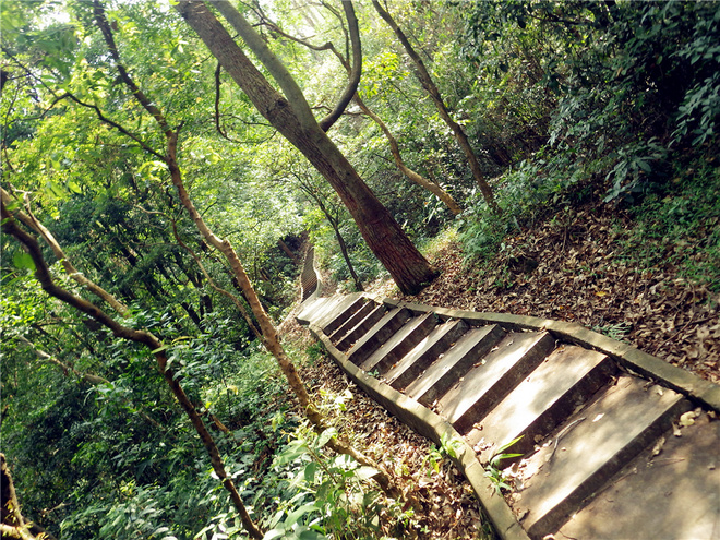 转益多师是汝师——记火窝火越野行