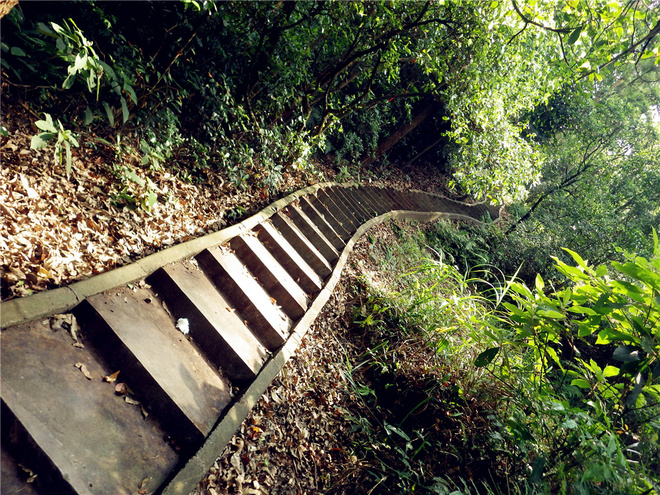 转益多师是汝师——记火窝火越野行