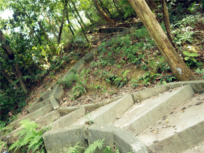 转益多师是汝师——记火窝火越野行