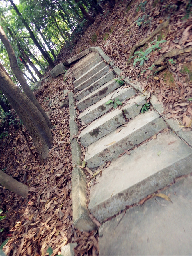 转益多师是汝师——记火窝火越野行