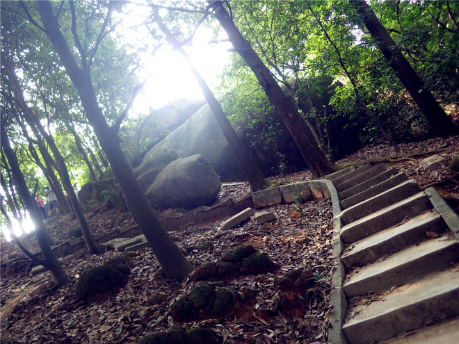 转益多师是汝师——记火窝火越野行